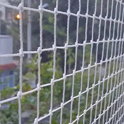 Anti Bird Net