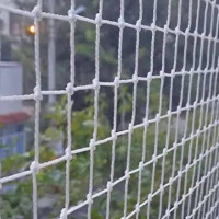 Anti Bird Net